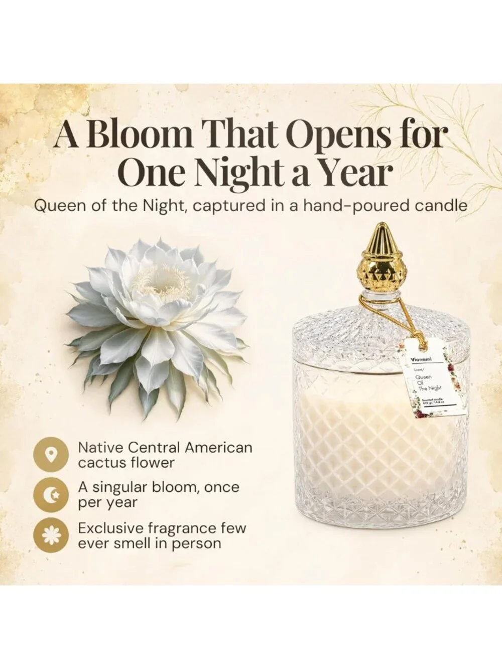 Luxury Scented Candle Gift - Queen of the Night Fragrance, Elegant Glass Jar, 80